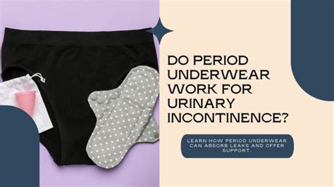 does period underwear work for bladder leaks|Does Period Underwear Work for Incontinence